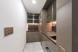 One Bernam (D2), Apartment #570206701